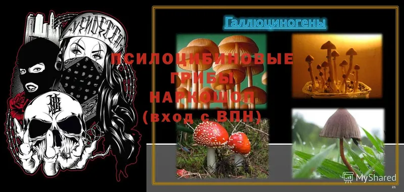 Галлюциногенные грибы MAGIC MUSHROOMS  ОМГ ОМГ маркетплейс  Валдай 